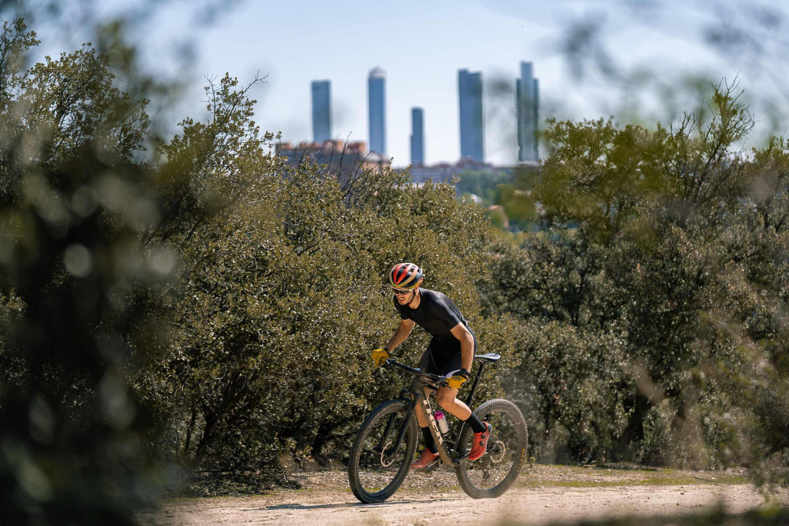 About Samshutter 203 Scaled